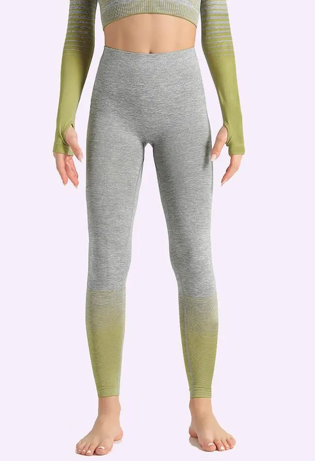 Ombre Power Seamless Legging