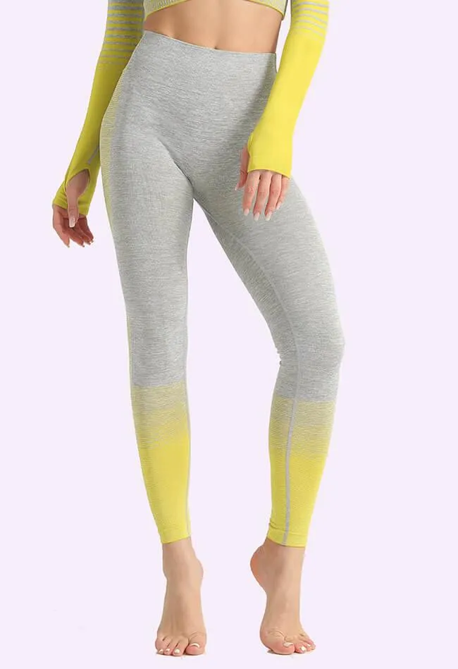 Ombre Power Seamless Legging