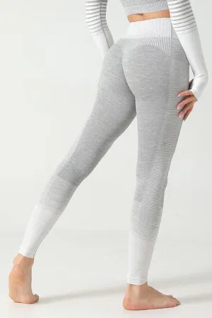 Ombre Power Seamless Legging