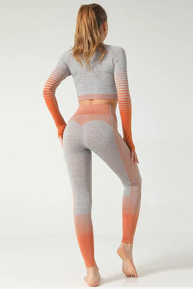 Ombre Power Seamless Legging