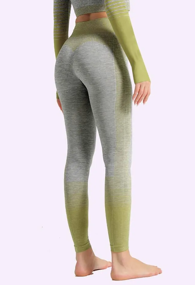 Ombre Power Seamless Legging