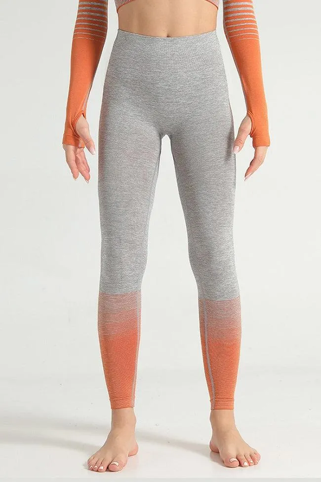 Ombre Power Seamless Legging