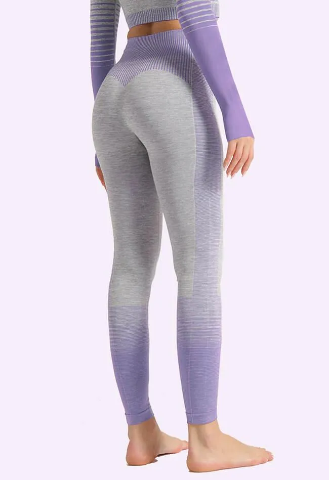 Ombre Power Seamless Legging