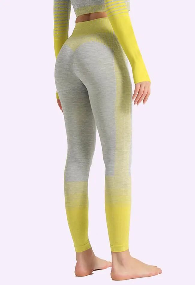 Ombre Power Seamless Legging