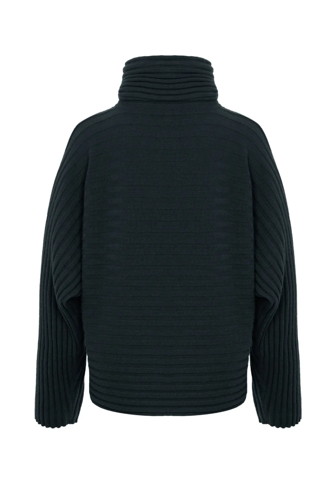 WIDE RIBBED RELAXED TURTLENECK